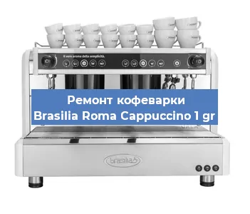 Ремонт капучинатора на кофемашине Brasilia Roma Cappuccino 1 gr в Перми